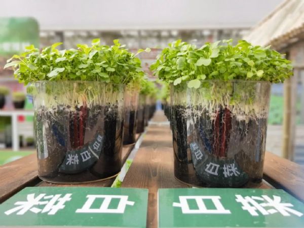 內蒙古通遼和佑首屆農業(yè)嘉年華